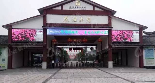 强力巨彩安徽中恒旗舰店,强力巨彩官方旗舰店