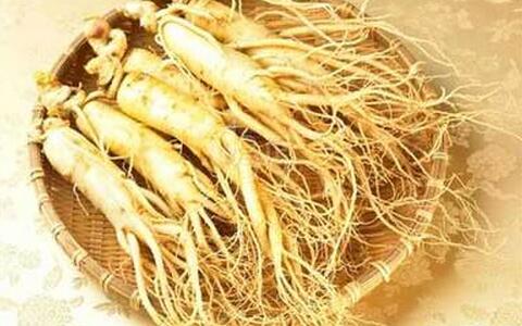 人参出口额,人参出口最新政策