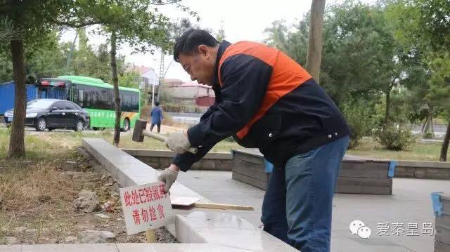 海港区灭四害,海港区专业除四害