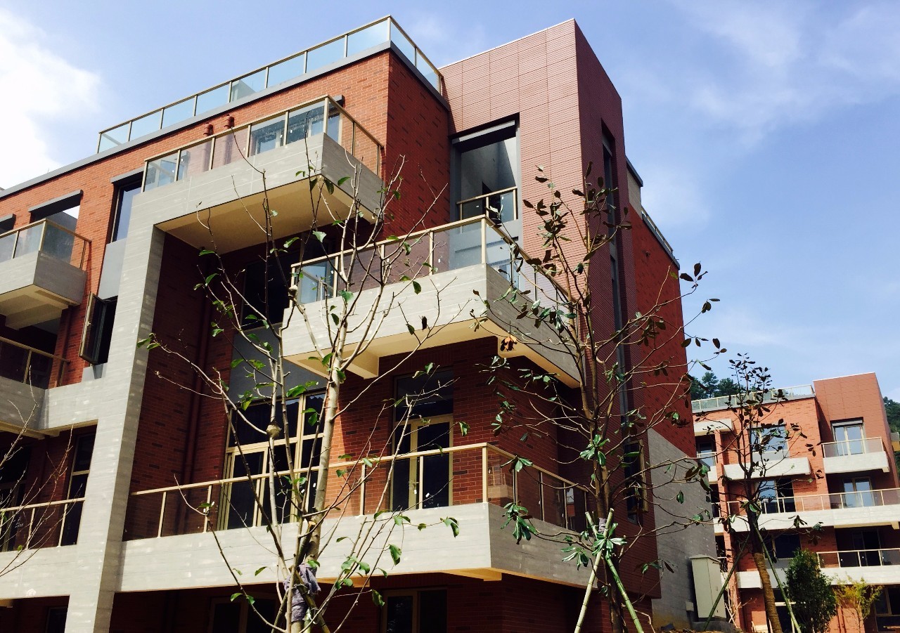 漫山蓝莓田、黑松林之间，这100户人家的乌托邦，邀你来做“后天亲人”