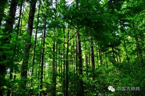 鍏ㄥ浗濯掍綋鑱氱劍鏄ュ煄,鍏ㄥ浗鐧惧濯掍綋濂斿悜姝︽眽