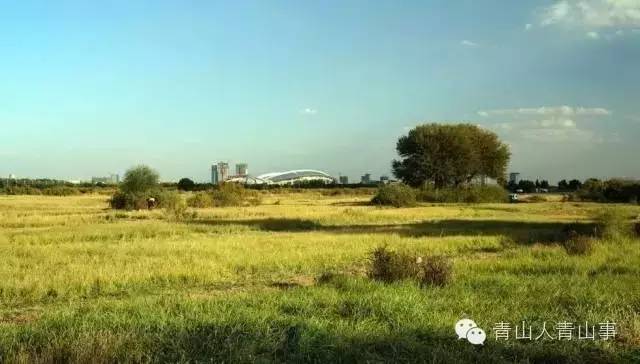 挣多少钱够在包头生活,在包头除了钱你最缺什么