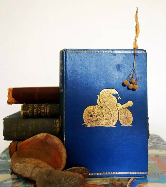 蓝的忧伤：城堡与亡灵 | 印度 · 目的地