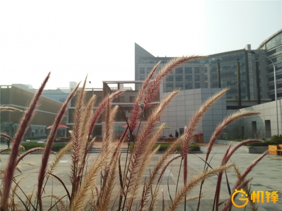 2100万像素效果图,2100w像素拍照清晰不