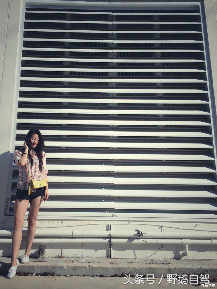 野鹅旅行,野鹅自驾无人区