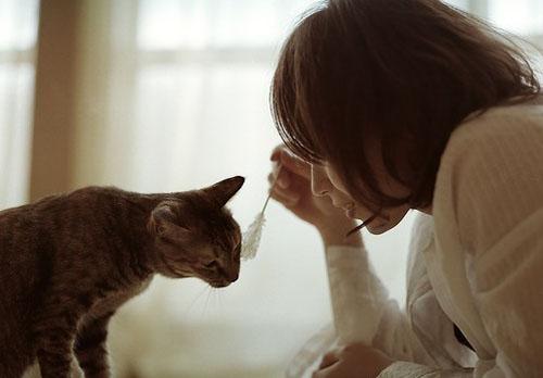 感情没有缘分怎么办？快速搜集异性资源技巧让你瞬间拥有男人缘