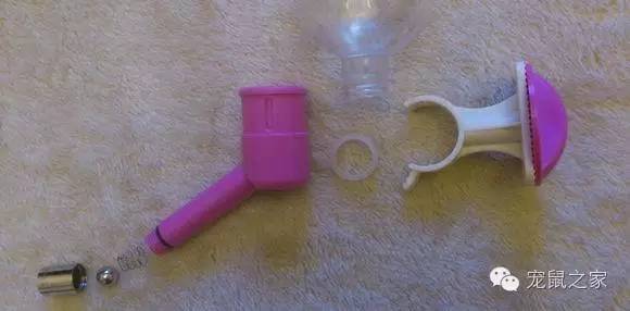 豚鼠各类饲养装备优缺点汇总之上篇