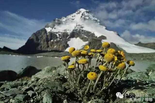博格达峰登顶需要什么手续,博格达攀登视频教程