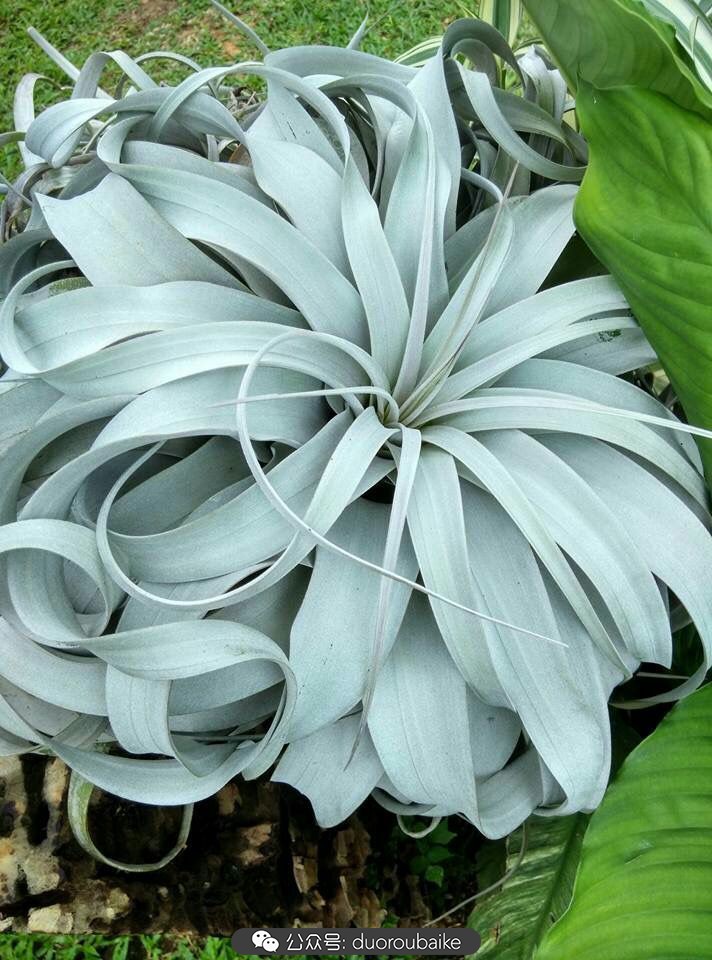 向阳的玻璃花房,玻璃花房设计建造