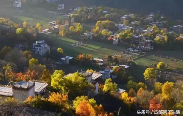 秋看落叶，夏玩水！成都边边观红叶圣地推介