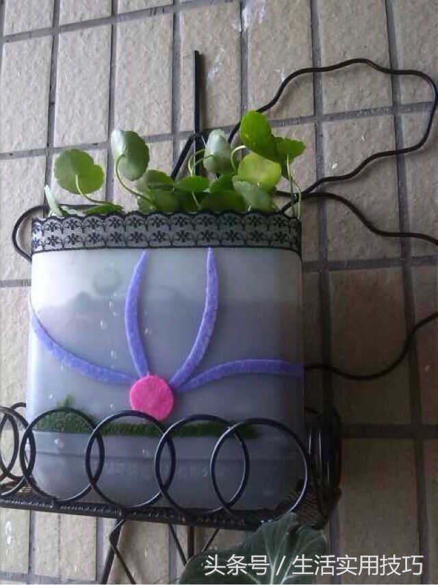 酱油桶怎么切割变花盆,塑料酱油瓶做花盆图片
