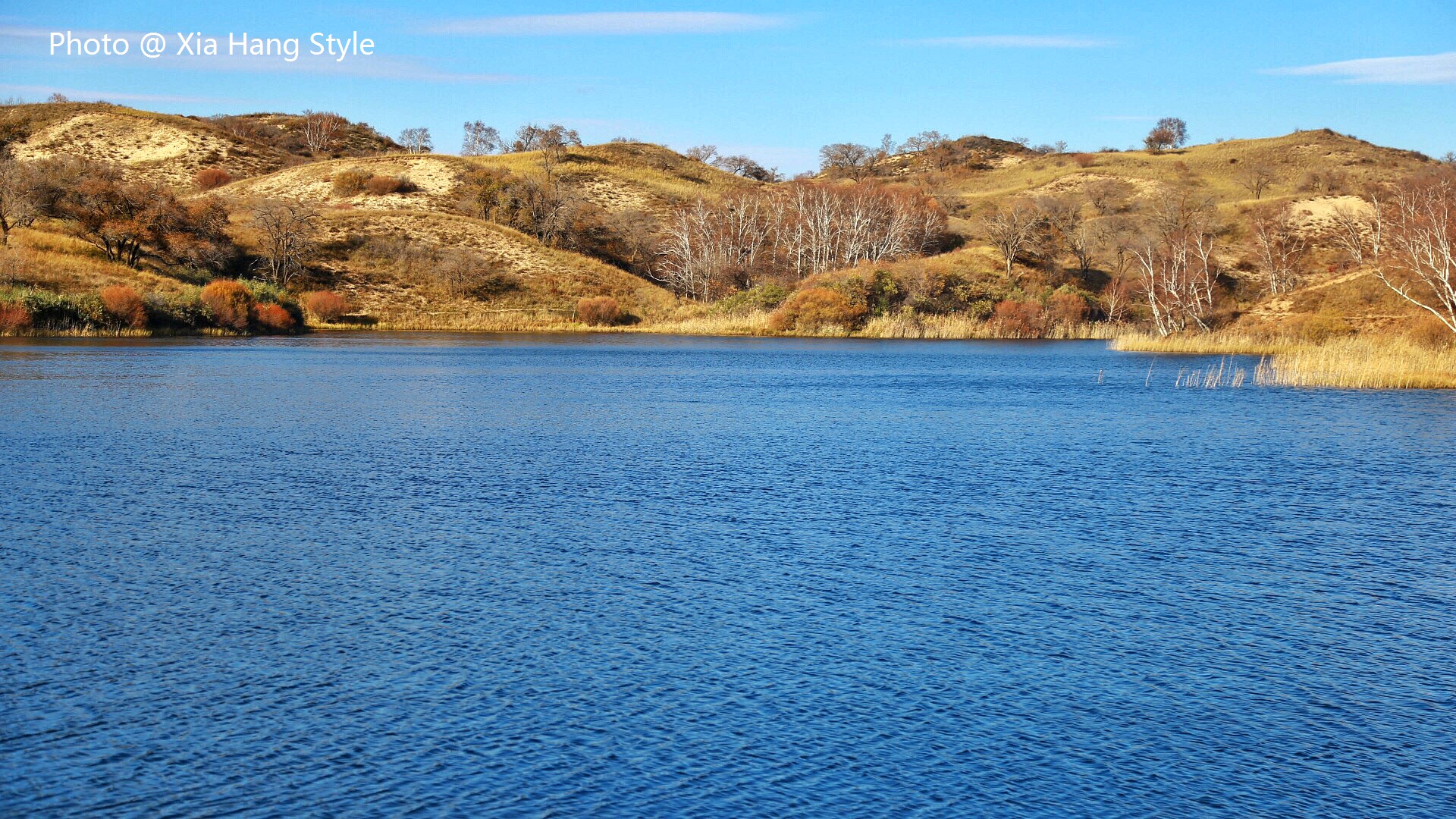 唐古拉山的凄美爱情故事,一段凄美的蒙古爱情故事