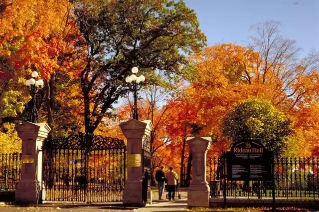 你们都错了，其实加拿大的秋季才是最厉害的时装大师