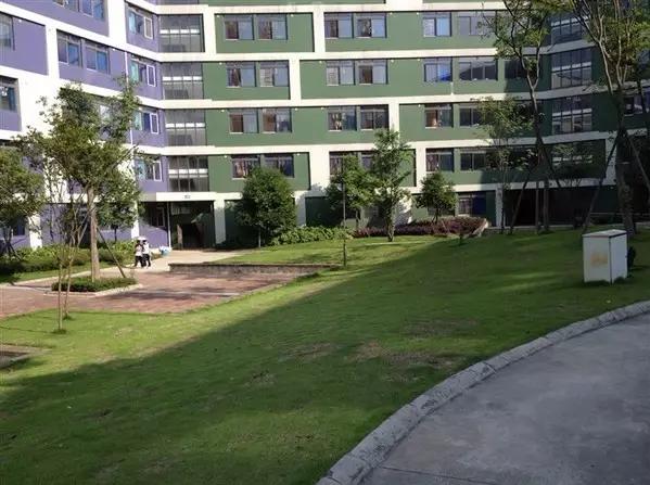 成都最土豪的学校,成都最贵私立学校最密集的区