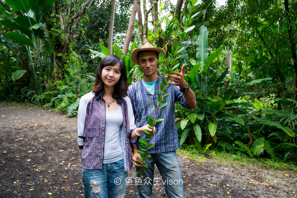 传说中的金银岛1993,金银岛宝藏传说是真的还是假的