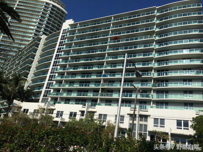 野鹅旅行,野鹅自驾无人区