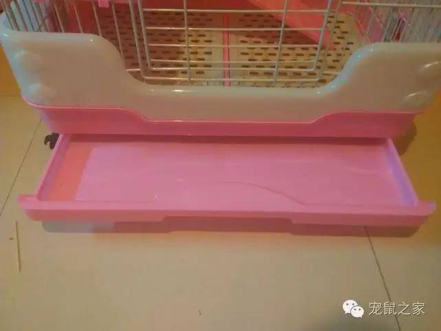 豚鼠各类饲养装备优缺点汇总之上篇