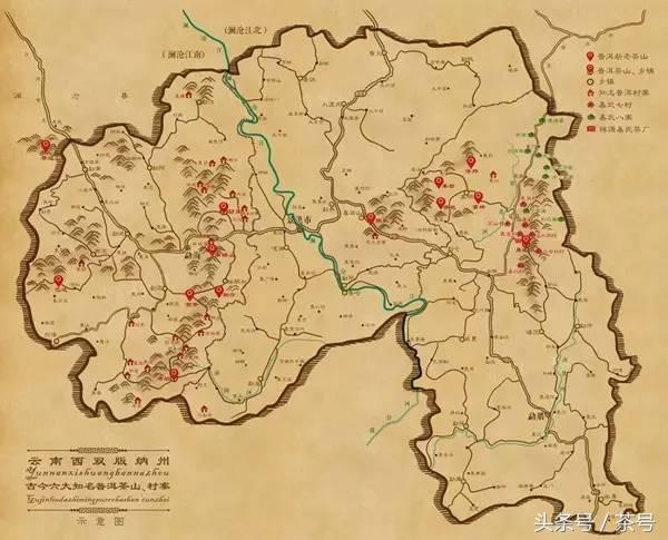 普洱茶几大山头古树茶的特点,普洱茶知识大全古树