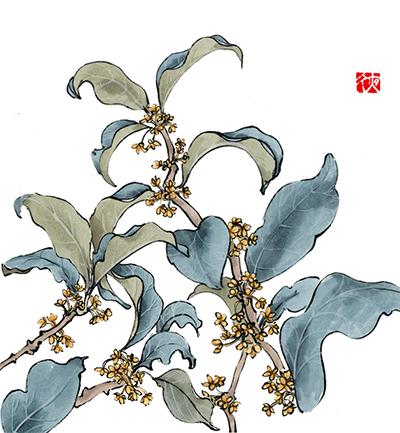 《唯有丹桂飘香八月馥郁芬芳》我,想你了荼蘼花事春已了