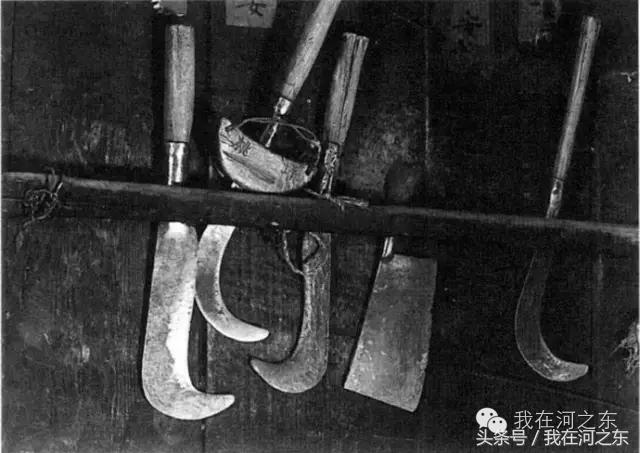 河东锁乡愁：老院情悠悠