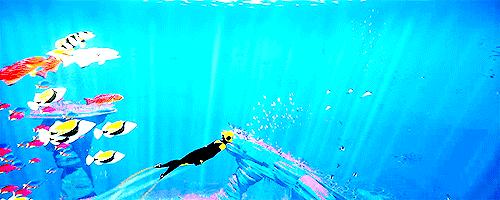 浮潜后可以水肺潜水吗,浮潜水肺潜水自由潜区别