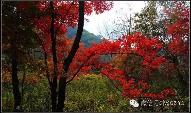 写给母亲的千古情,写给母亲的百封家书