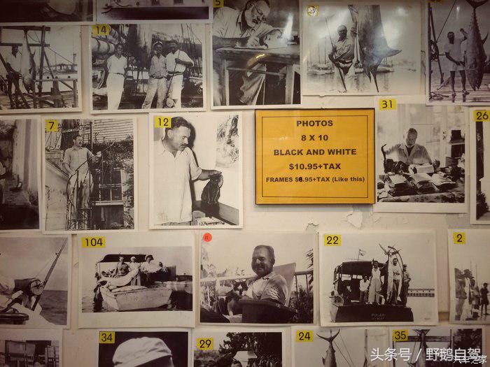 野鹅旅行,野鹅自驾无人区