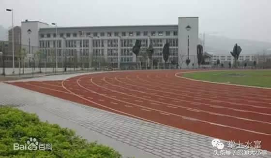 云南省水富市云天化中学,水富市云天化中学简介