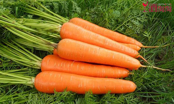 葡萄酒跟哪些药不能一起吃,西拉葡萄酒搭配什么食物