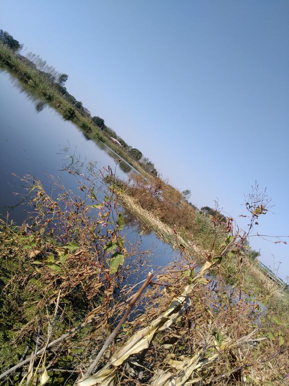 为了钓鱼跑了二十多公里算远吗,为钓鱼做过的事