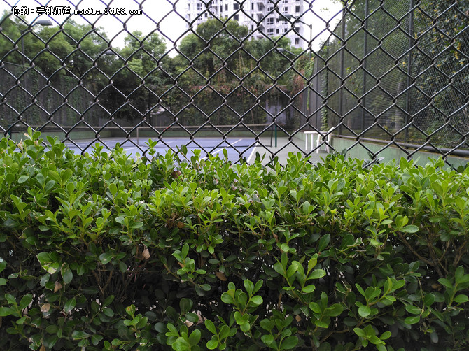 情怀落地,锤子情怀