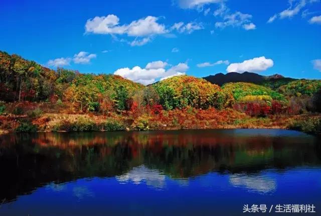 哈尔滨与人民有关的标志,哈尔滨标志性符号