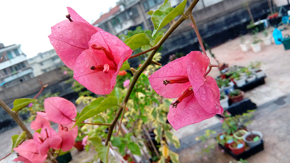 mt8176是什么档次,mt8176相当于什么水平