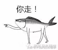 留学生被问到最不能忍受的问题,留学生最讨厌听到的话