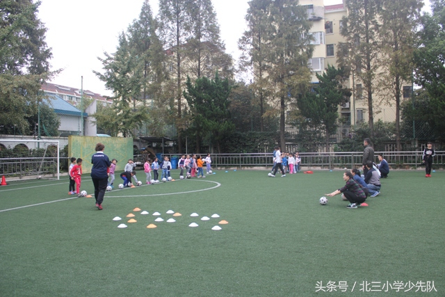 家校互动实践家长开放日开展策略,家校共育亲子互动活动小学