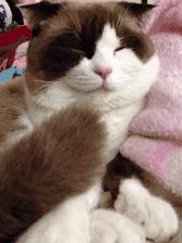 姑娘休要淘气了，小心老师找你谈话