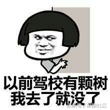 被驾校教练骂了需要去调整状态吗,有没有学车被教练骂到怀疑人生的