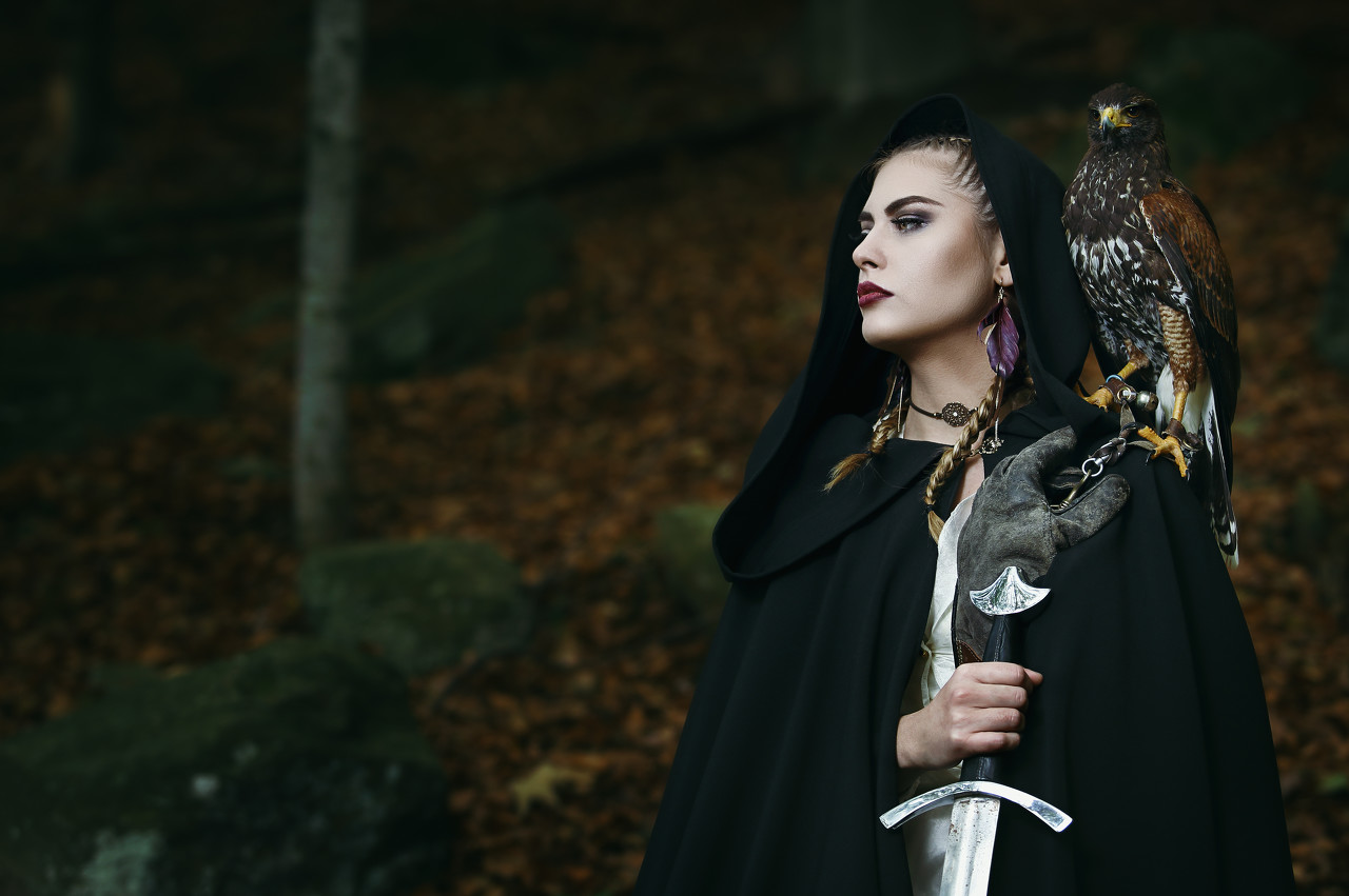 仙朝锦衣卫,开局仙朝锦衣卫