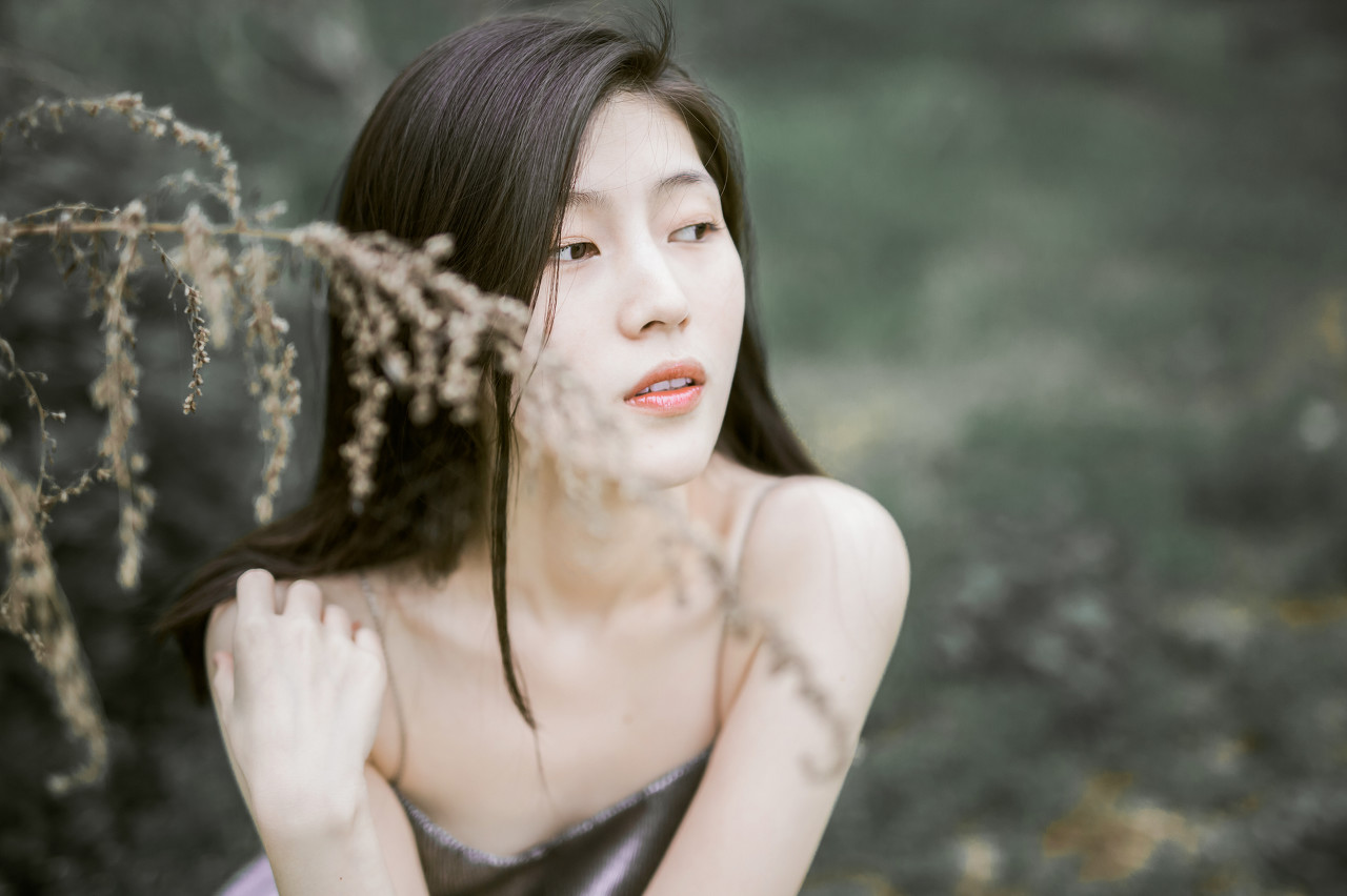 小说庄周梦蝶蝶恋花,生离死别庄周梦蝶