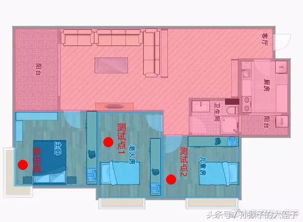 蒲公英X5有几个版本,蒲公英x5使用感受