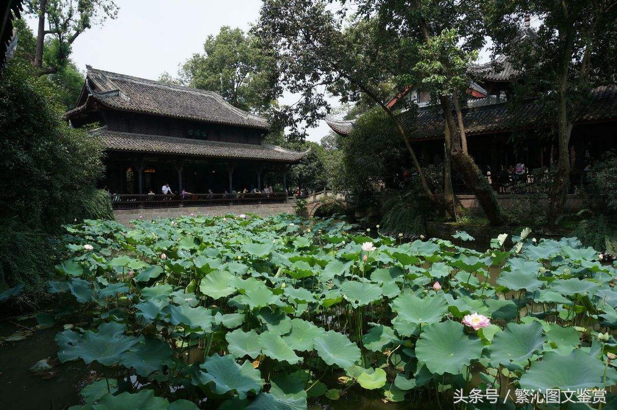 鍙や粖鍥灄瀵规瘮,涓浗鍙や唬鍥灄瀵规瘮