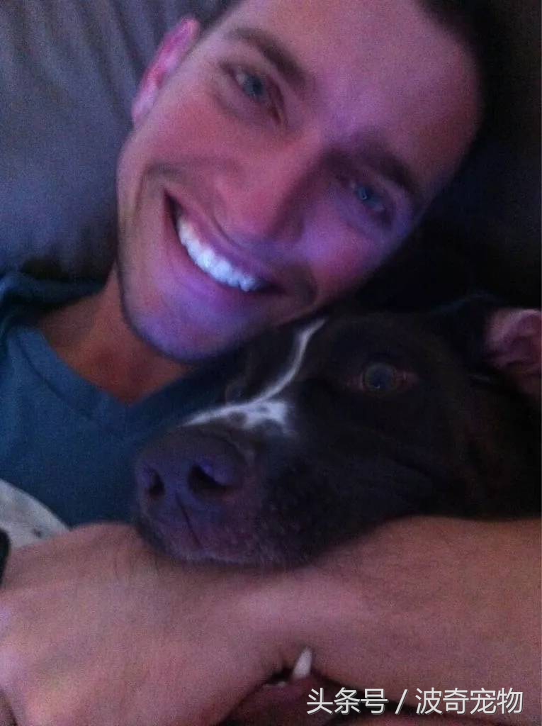 狗狗和你亲的几个表现,当你和你家的狗对视