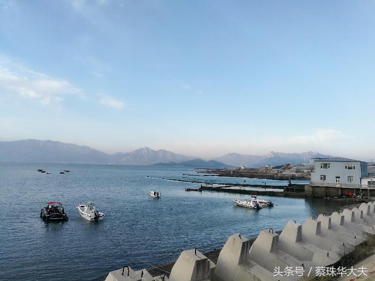 胎停看妇科还是生殖科,胎停想流产看哪个科