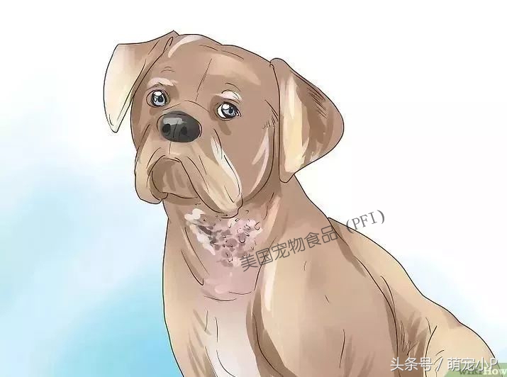 怎样预防狗狗得螨虫病,所有的狗狗都有病毒吗