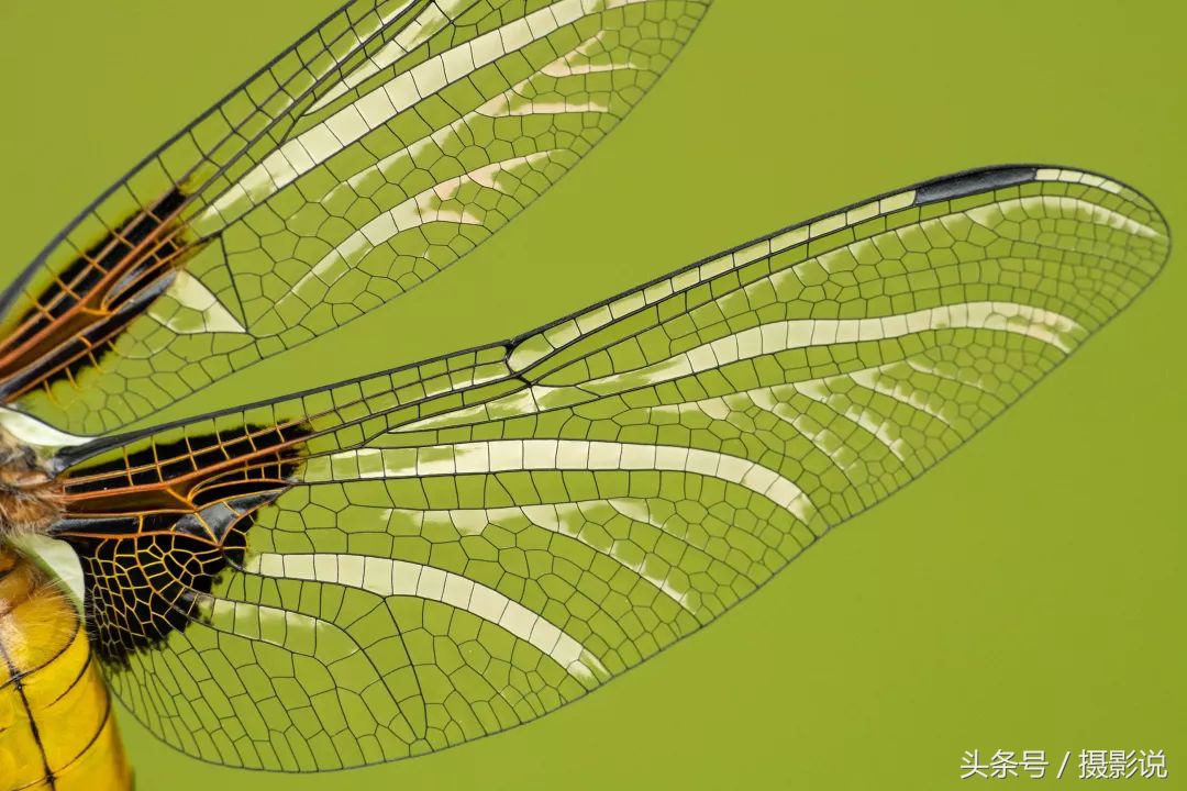 ross璇勬祴,ross娴嬭瘎