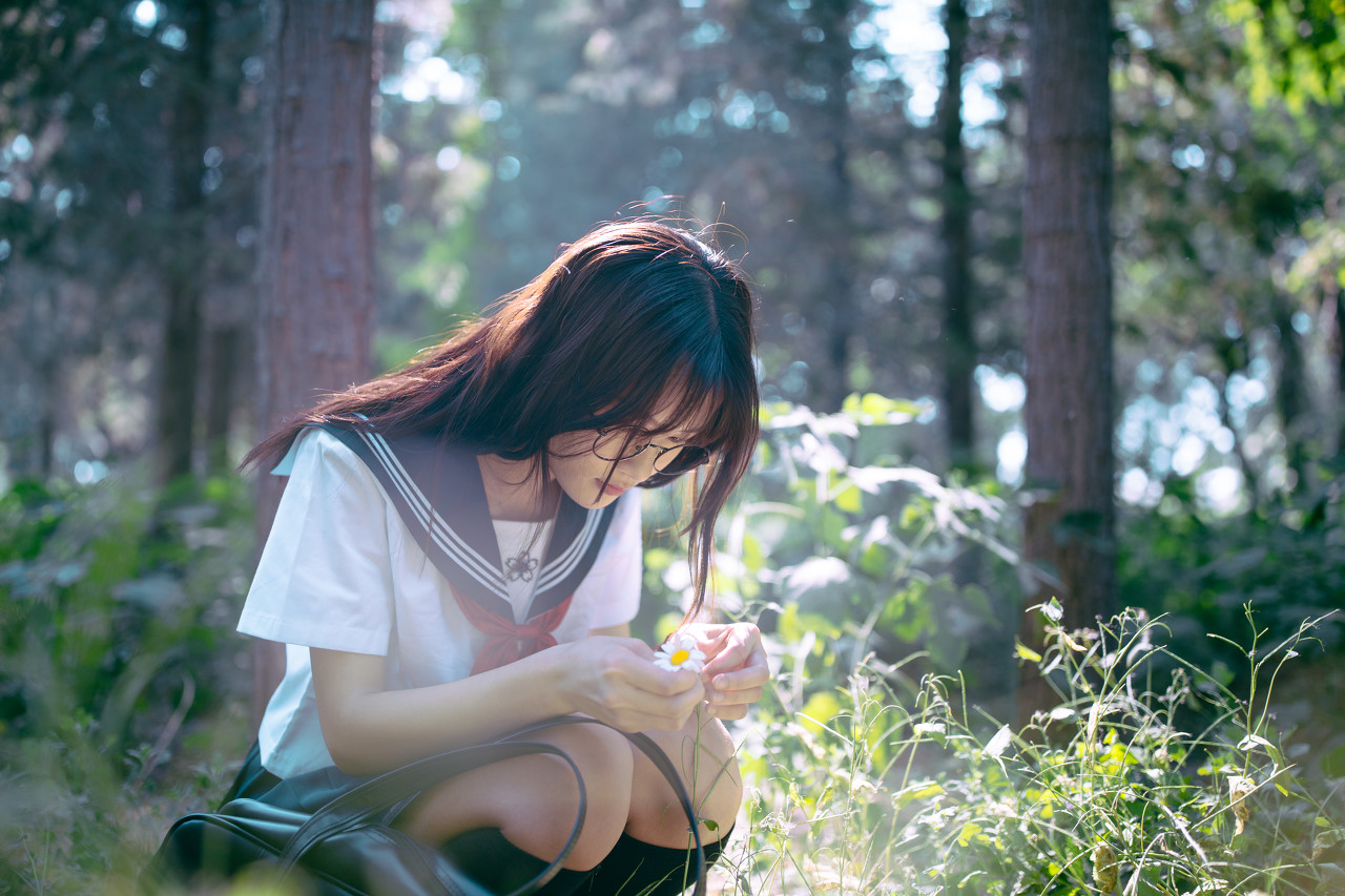 顾少送小丫头回家了吗,顾少送丫头回家全文免费阅读