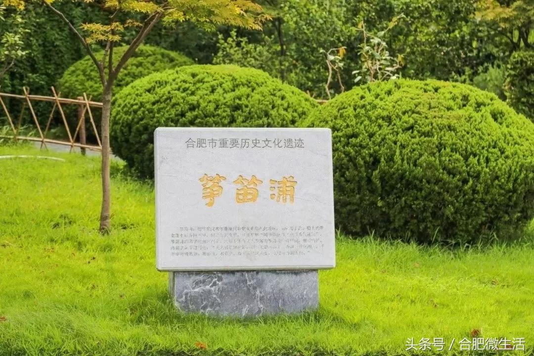 老合肥杏花公园,合肥曾经有两个杏花公园