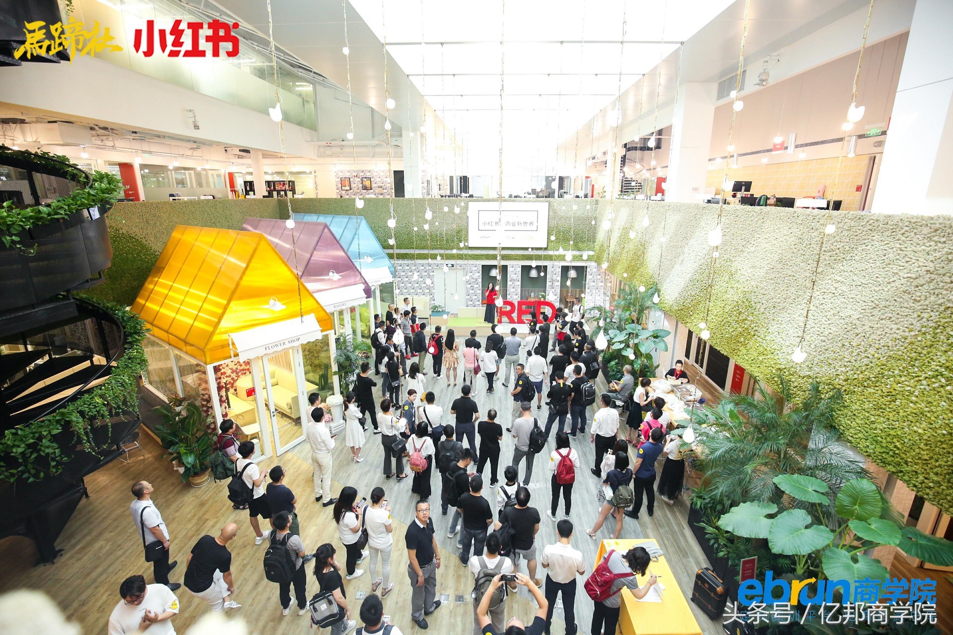 马蹄社2018游学课锦集｜这是一个怎样强悍的课程