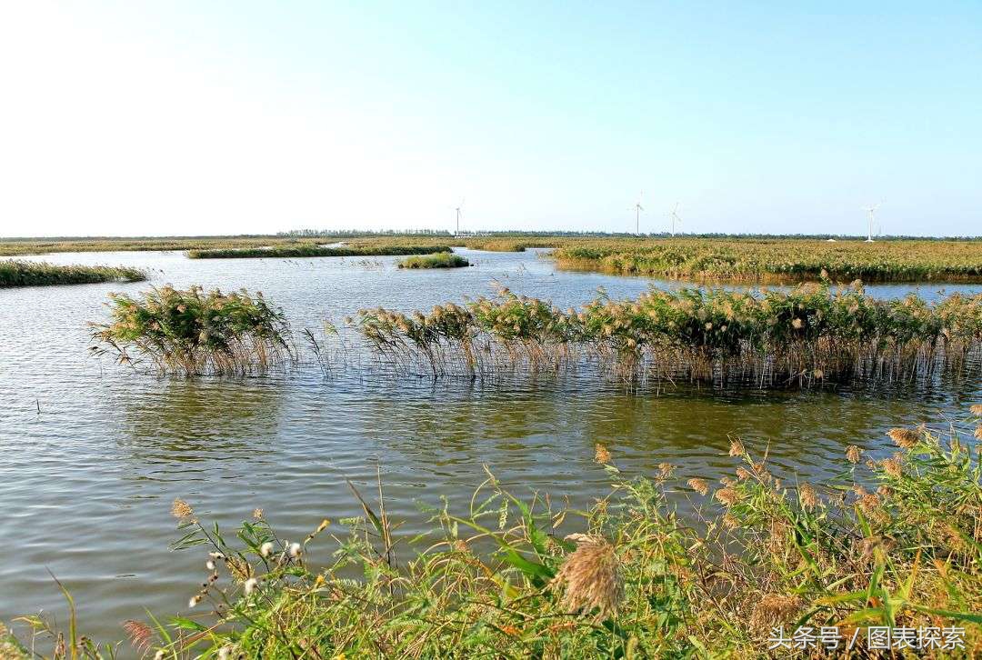 江苏盐城市面积多大,江苏盐城面积全国排名