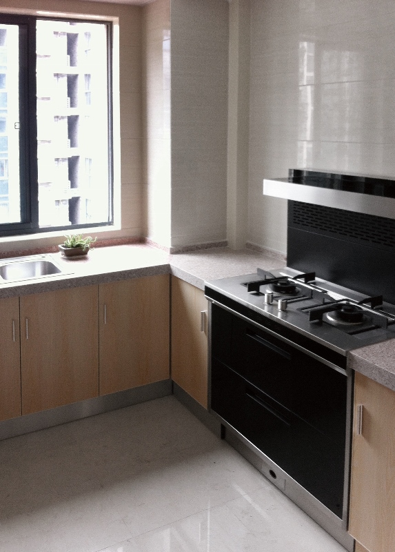 集成灶应该怎么选购,集成灶选购指南和攻略